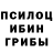 Псилоцибиновые грибы Cubensis NACTMOND