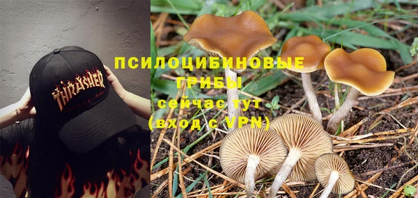 spice Вязники