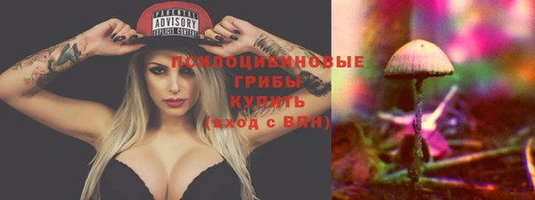 первитин Вяземский
