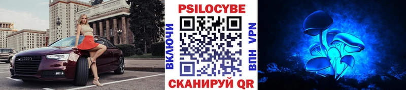 наркотики  Калязин  Галлюциногенные грибы Psilocybine cubensis 
